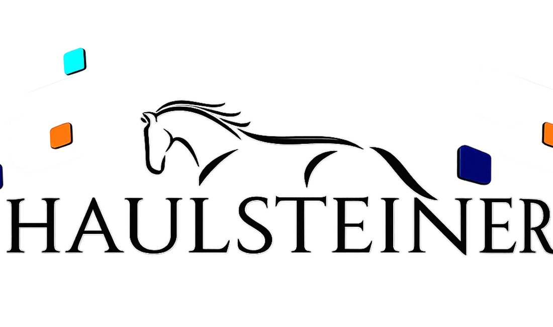 Haulsteiner South Africa logo