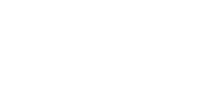 Haulsteiner South Africa