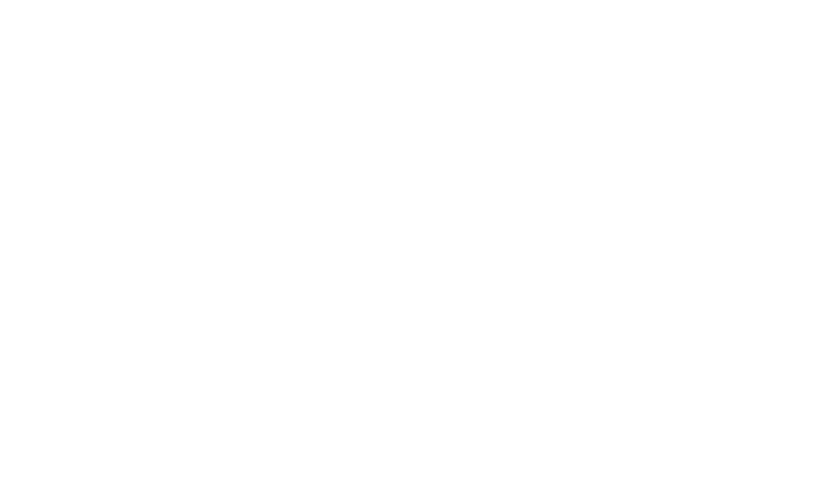 Ndlovu Investment Group