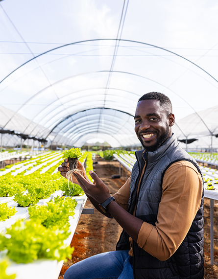 Agriculture and Agro-Processing