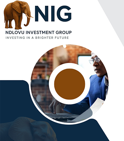 Ndlovu Investment Group